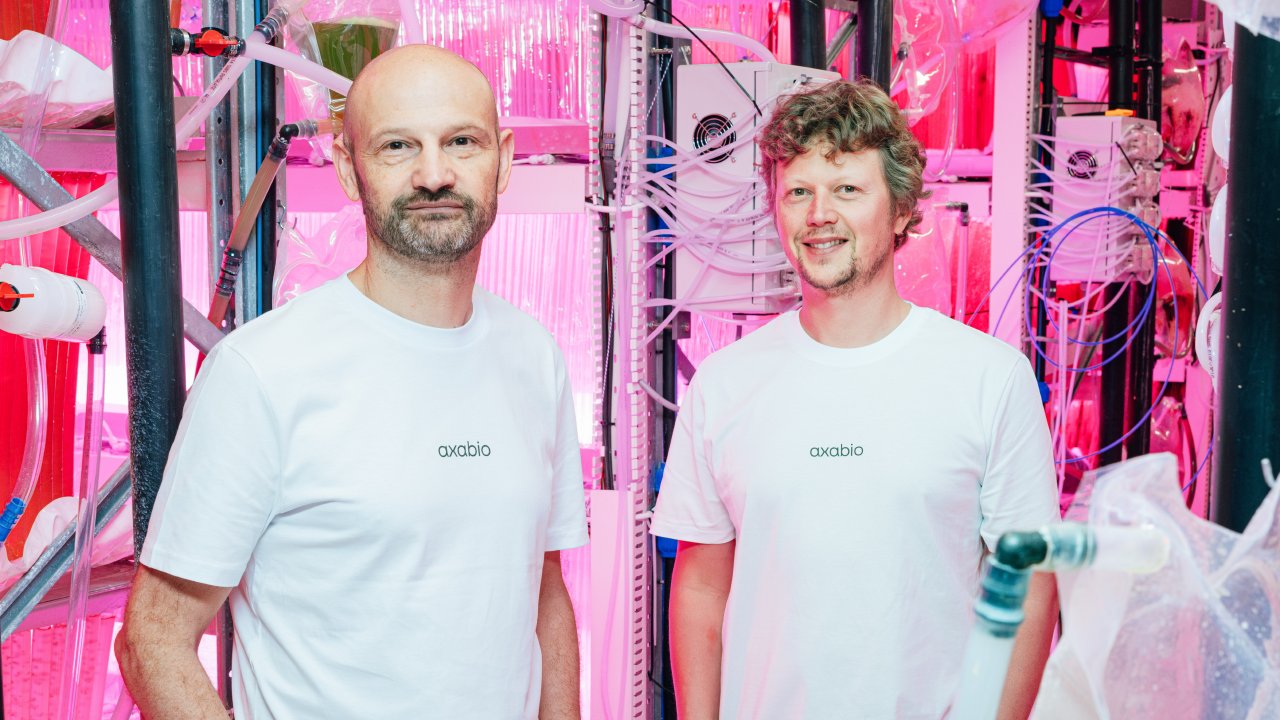 proviron spin-off axabio